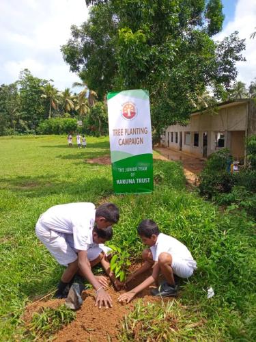 the-Karuna-Trust-Junior-team-planted-100-trees 1