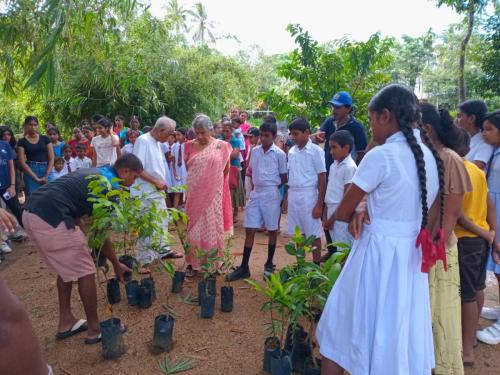 the-Karuna-Trust-Junior-team-planted-100-trees 5