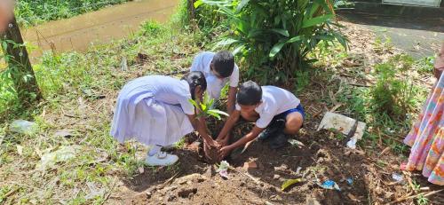 the-Karuna-Trust-Junior-team-planted-100-trees 6